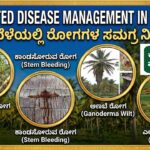 Diseases of Coconut and their Integrated Management