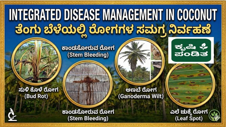Diseases of Coconut and their Integrated Management